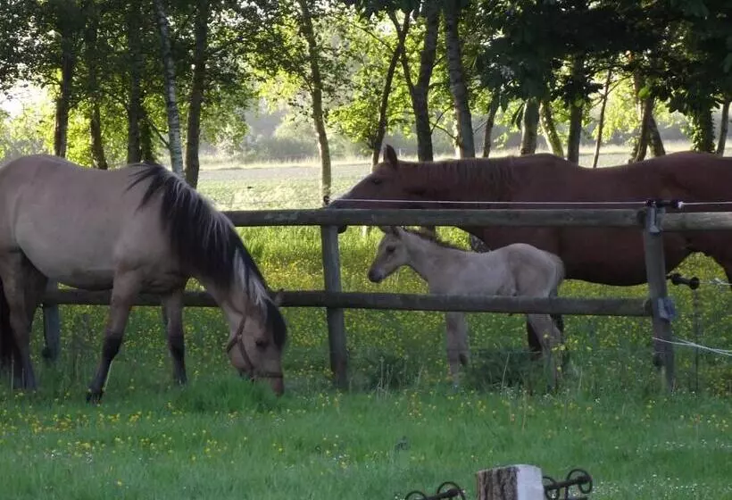 ベッドアンドブレックファースト Les Portes Des Froises
