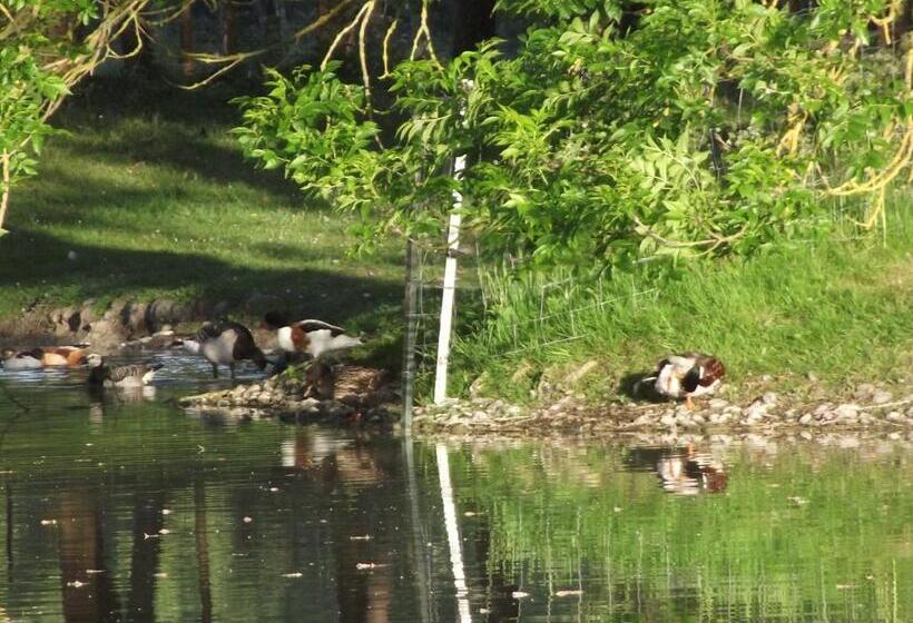 住宿加早餐  Les Portes Des Froises