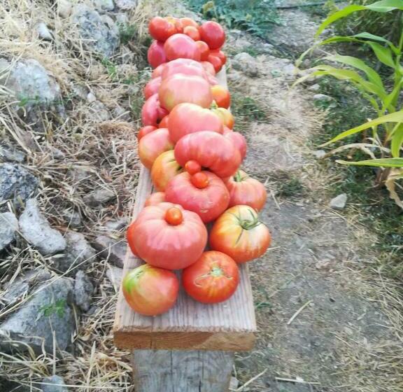 צימר Salvatierra Guest House