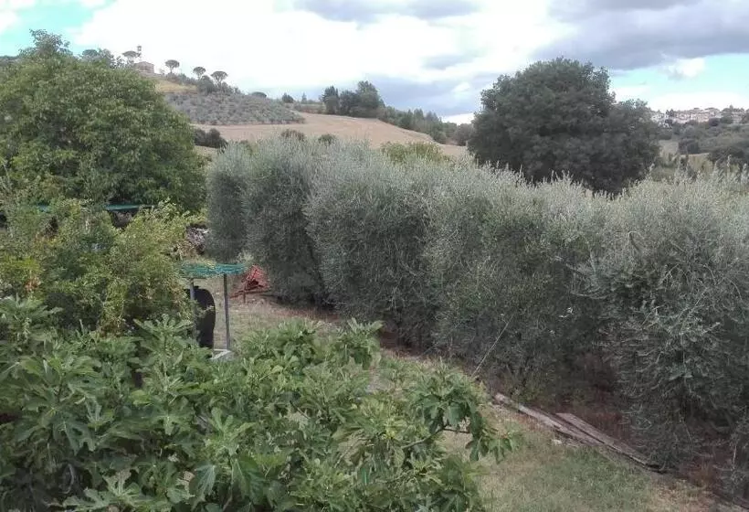 هتل Agriturismo Cerquaglia