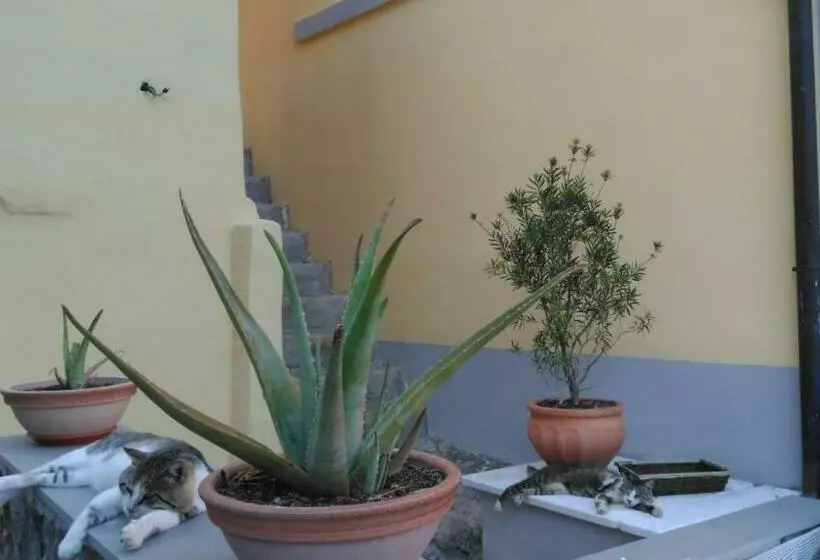 Majatalo La Stanzetta Viola