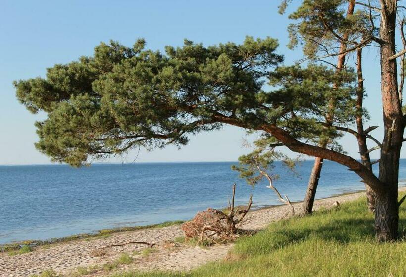 膳宿费 Zum Storchennest