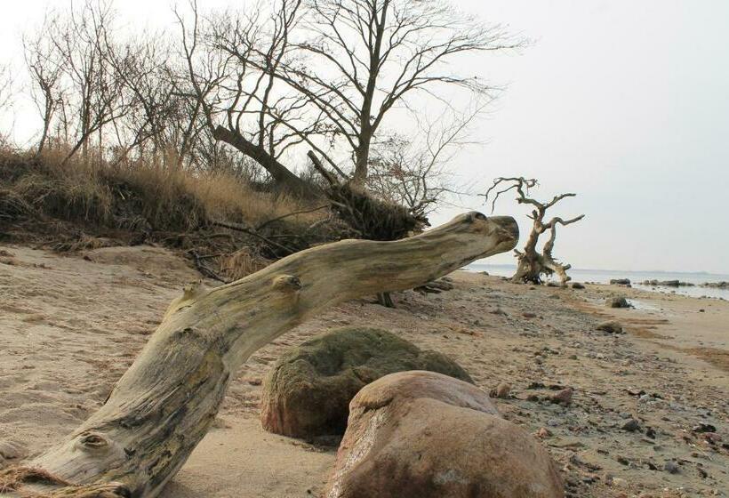 膳宿费 Zum Storchennest