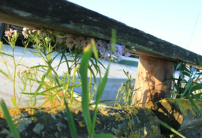 膳宿费 Zum Storchennest