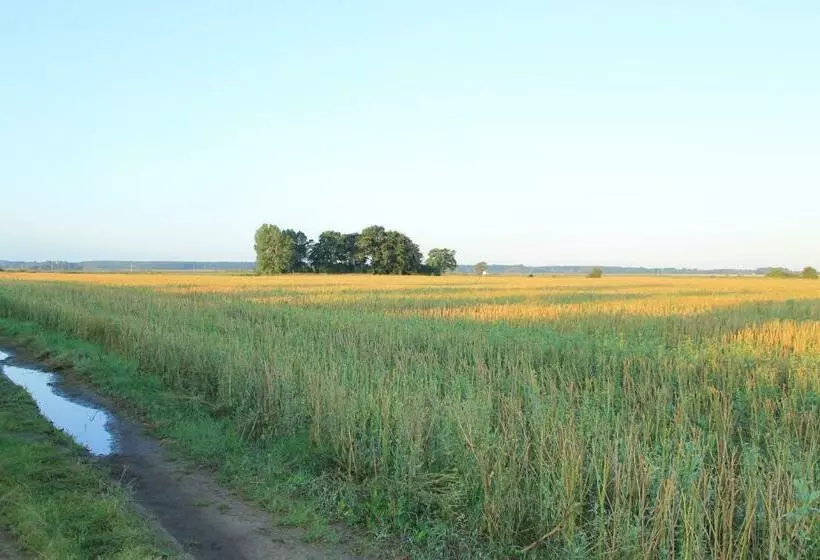 Majatalo Zum Storchennest
