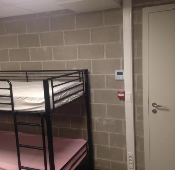 Ruiterhof B&b/hostel