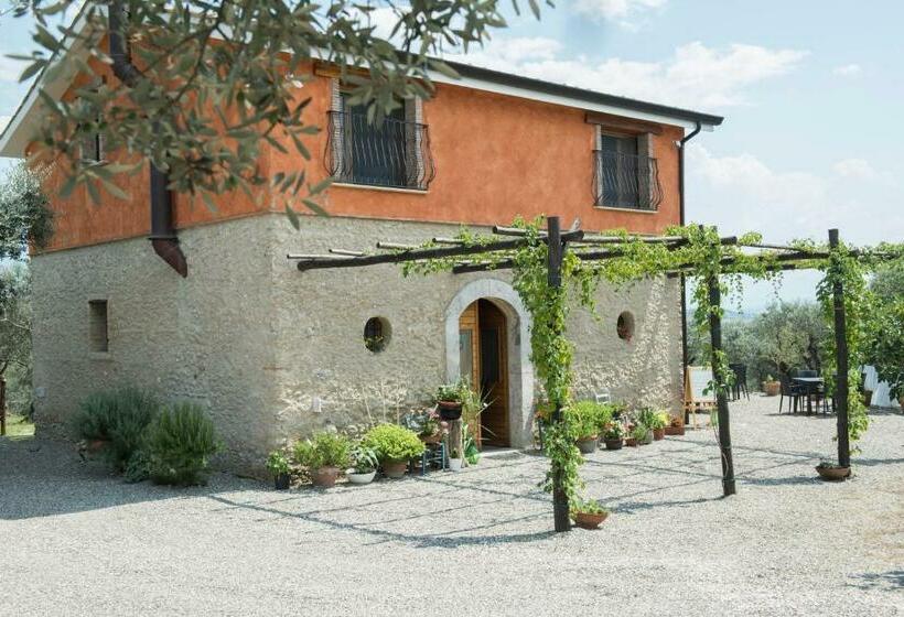 B&b Rifugio Tra Gli Ulivi