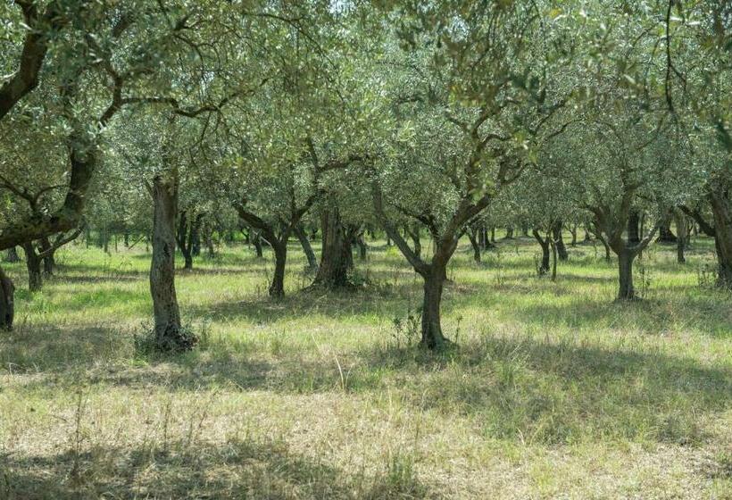 B&b Rifugio Tra Gli Ulivi