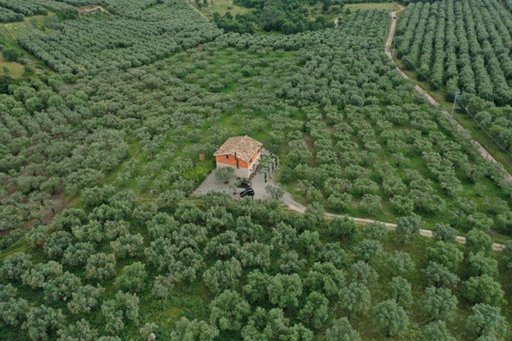 B&b Rifugio Tra Gli Ulivi