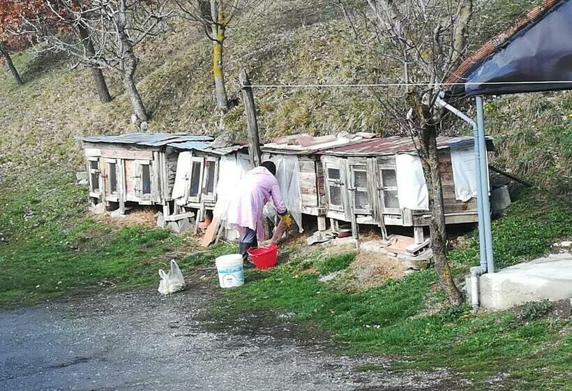 住宿加早餐 Agricola Tre Rii Sidreria