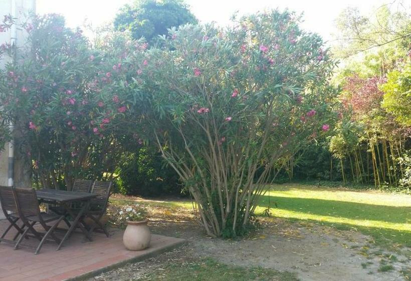 Bed and Breakfast Le Mas D Icard