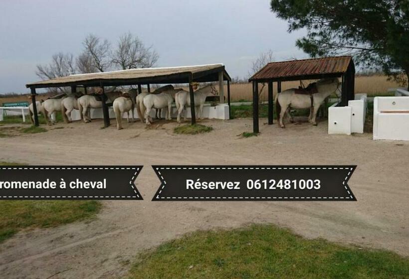 Bed and Breakfast Le Mas D Icard