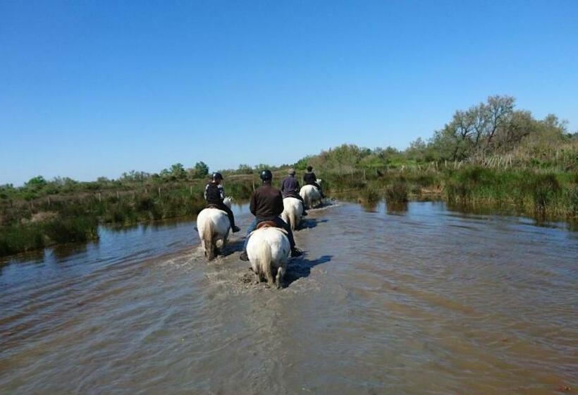 Bed and Breakfast Le Mas D Icard