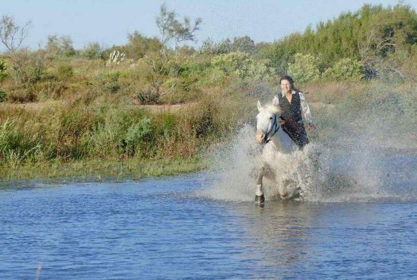 Bed and Breakfast Le Mas D Icard