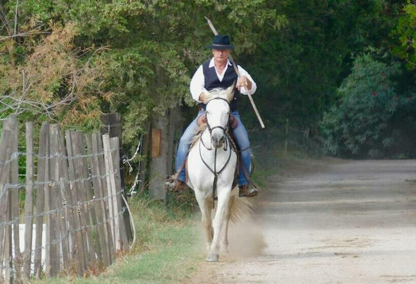 Bed and Breakfast Le Mas D Icard