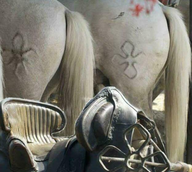 Bed and Breakfast Le Mas D Icard