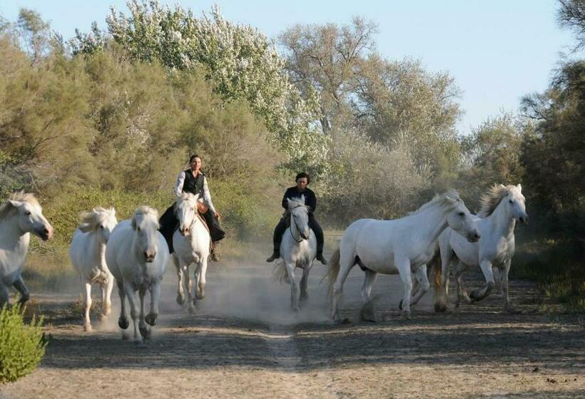 Bed and Breakfast Le Mas D Icard