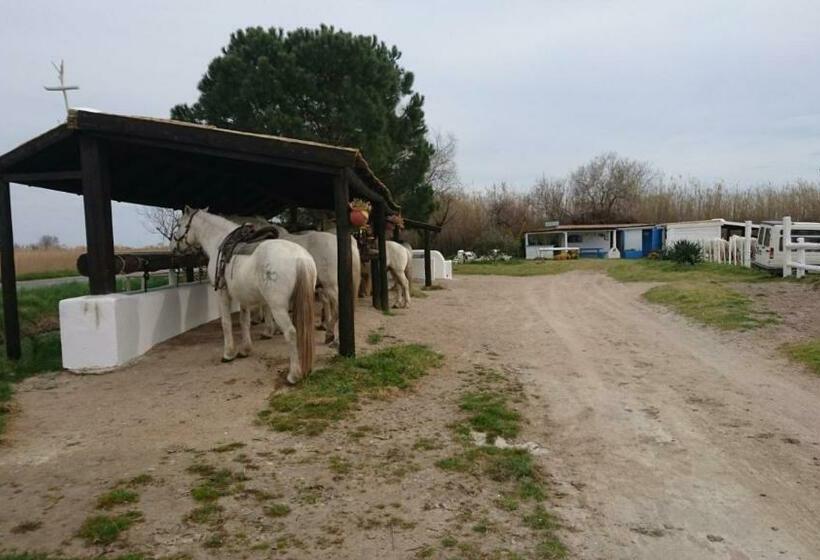 Bed and Breakfast Le Mas D Icard