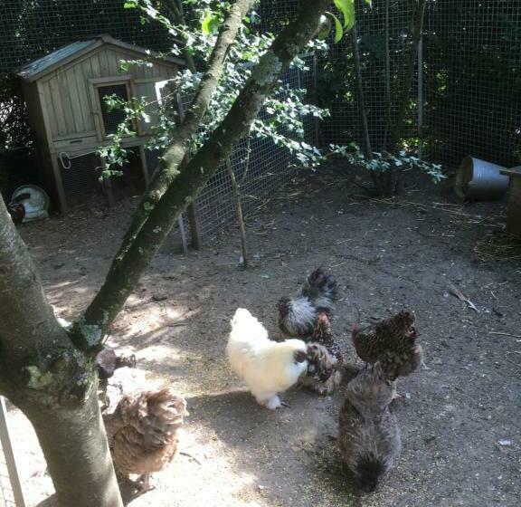 住宿加早餐  Tatiana Buirette