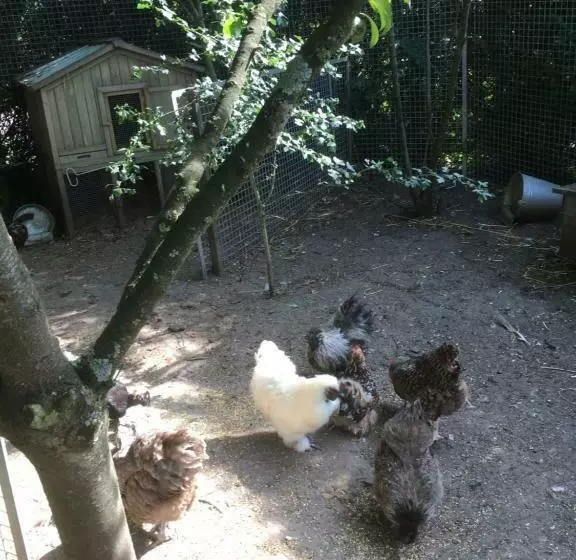 Aamiaismajoitus (B&B) Tatiana Buirette