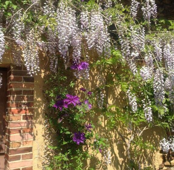 פנסיון La Bicoque En Puisaye