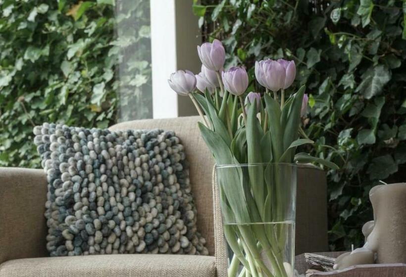 B&b Jardin   Schagen