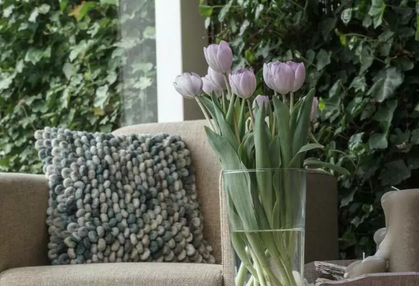 B&b Jardin   Schagen