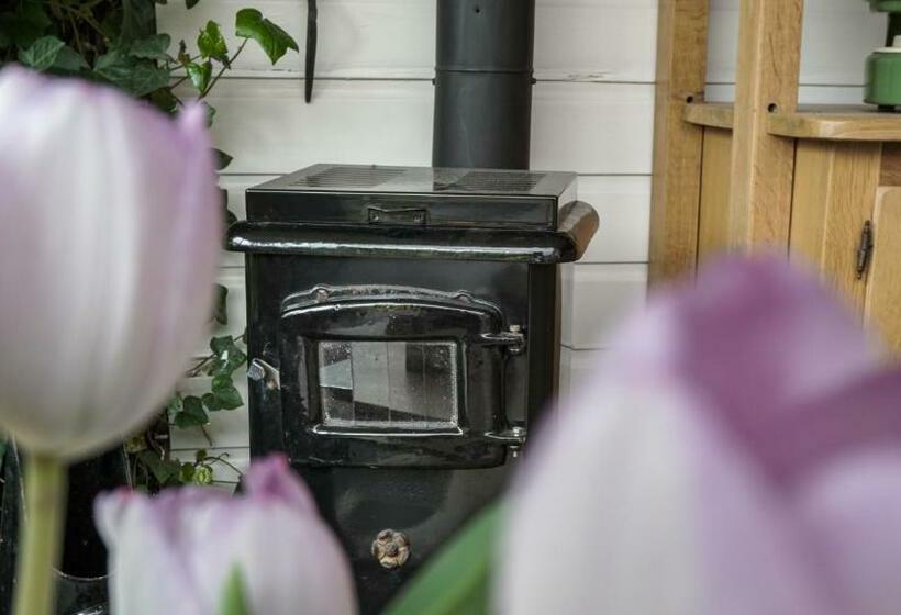 B&b Jardin   Schagen