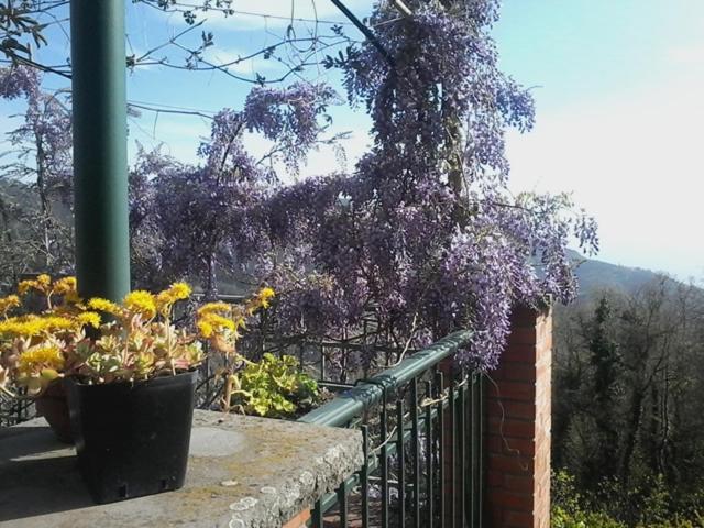 Bed and Breakfast Bed&breakfast Bella Vita