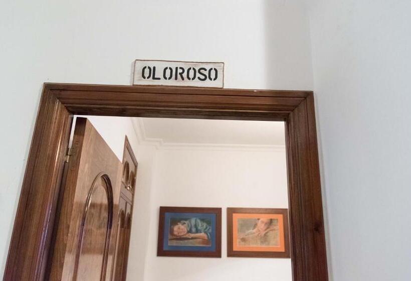 تختخواب و صبحانه Boutique House Lujopobre