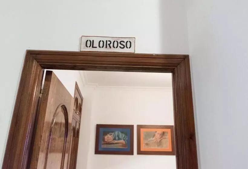 تختخواب و صبحانه Boutique House Lujopobre