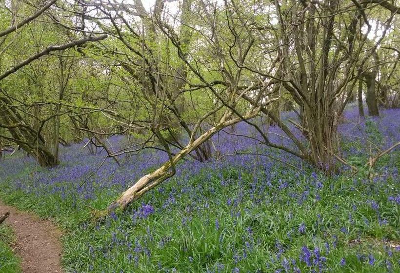 צימר Hazler Lodge