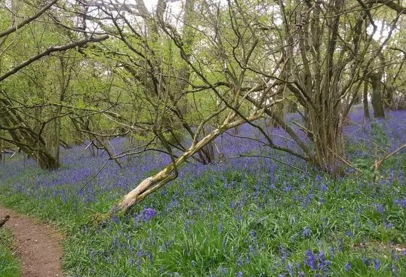 Aamiaismajoitus (B&B) Hazler Lodge