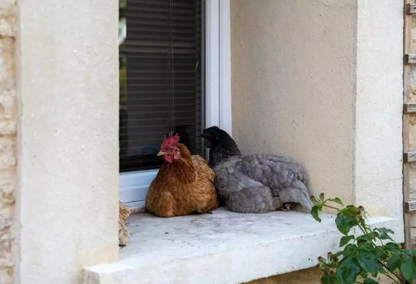 ベッドアンドブレックファースト La Fralinette