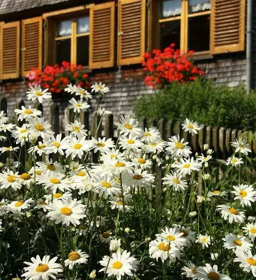 Hotelli Ferienhof Metzler