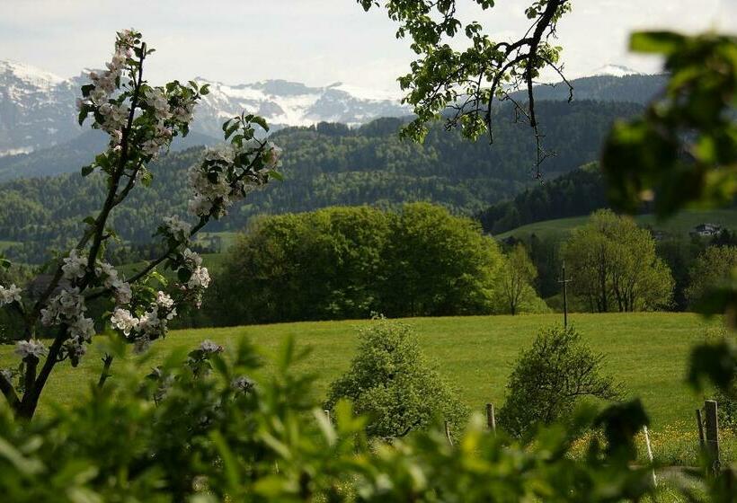 酒店 Ferienhof Metzler