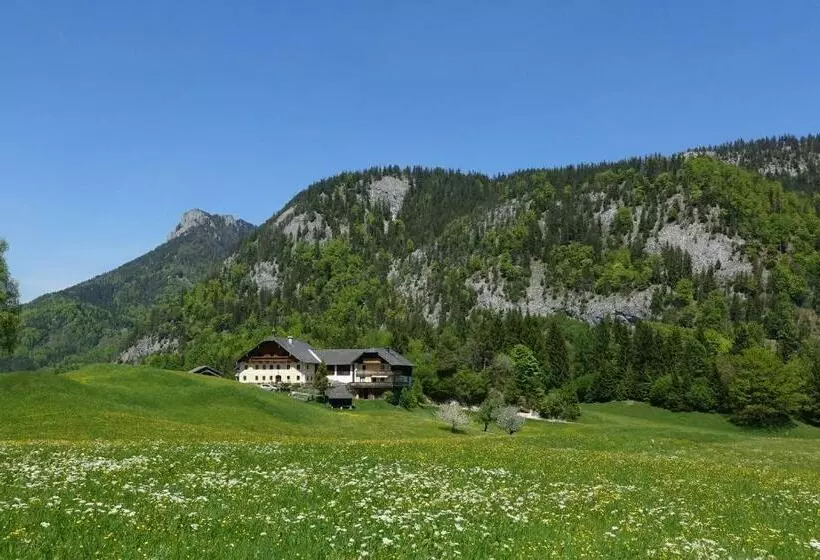 ホテル Urlauben Im Grünen