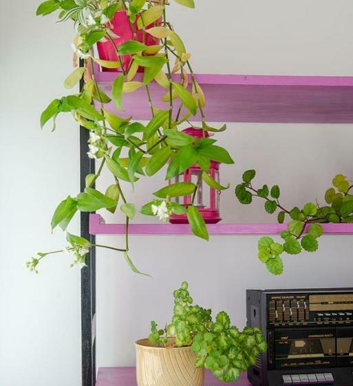 پانسیون Alojamento Das Fontes