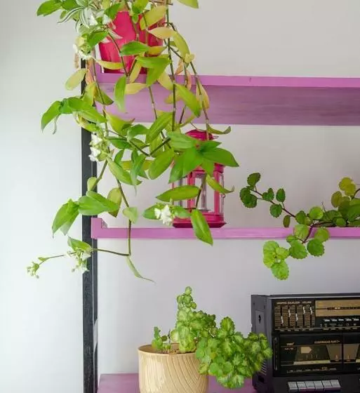 Majatalo Alojamento Das Fontes