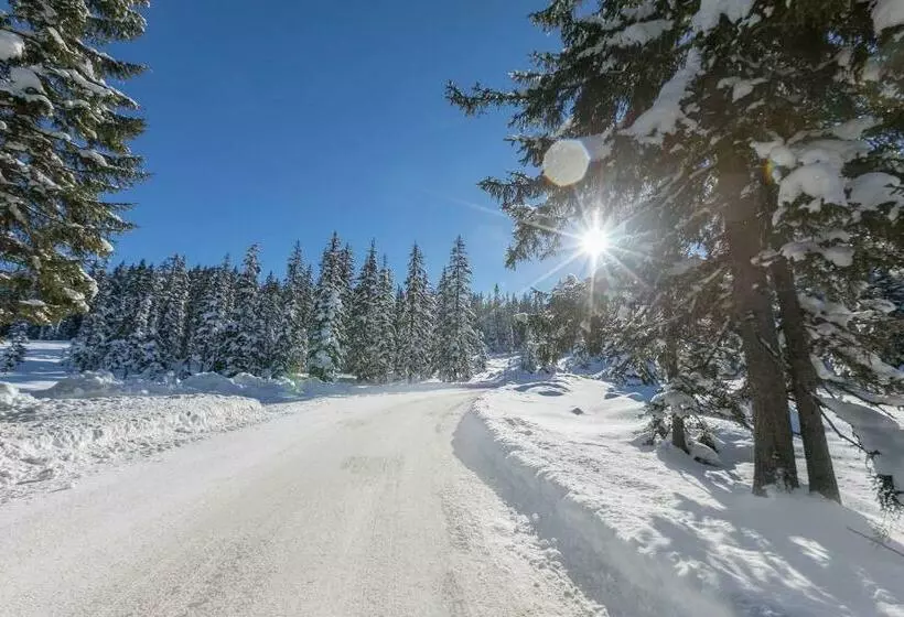 ペンション Landhof Aigner