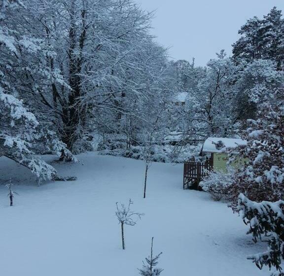 פנסיון Le Domi