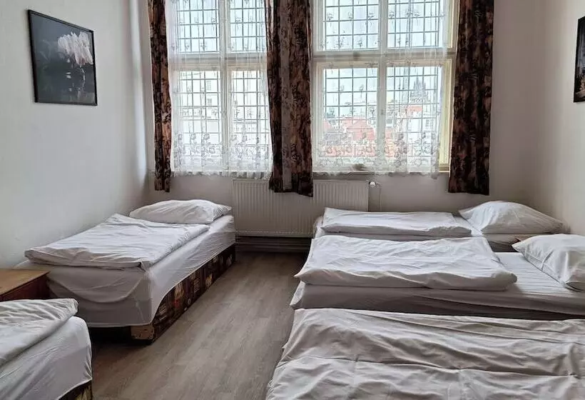 A Plus Hostel Centrum