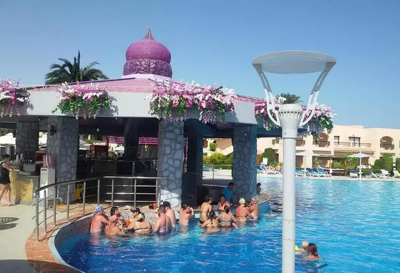 ホテル Ali Baba Palace