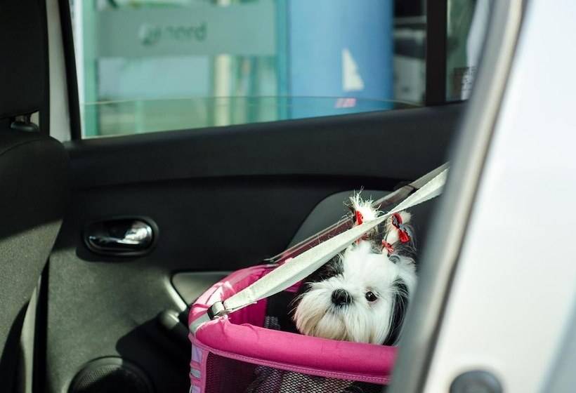 酒店 Nord Easy Green Sunset