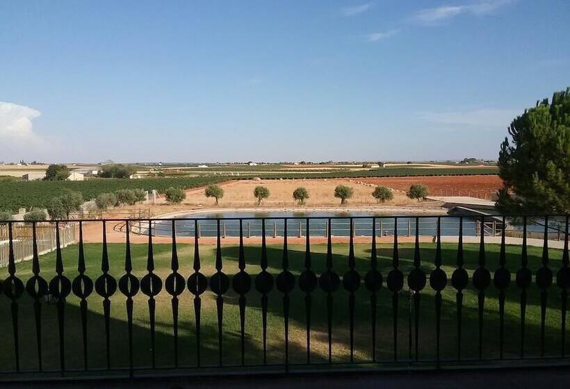 בית מלון כפרי Viñedos Y Bodegas El Castillo