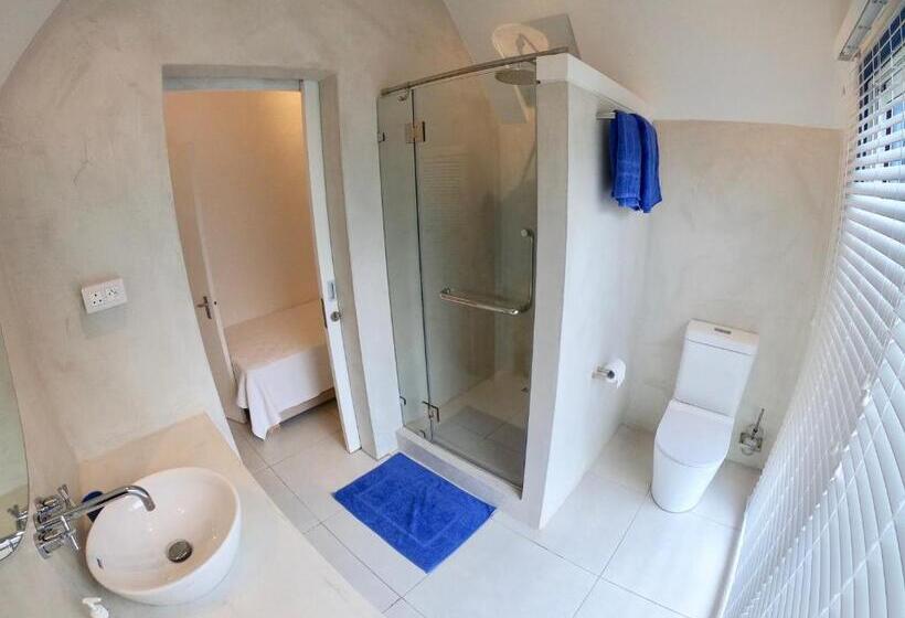 تختخواب و صبحانه Blue Bird