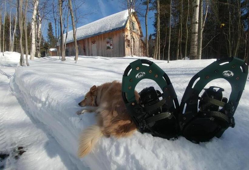 فندق Hebergement Cerfstifie Fermette