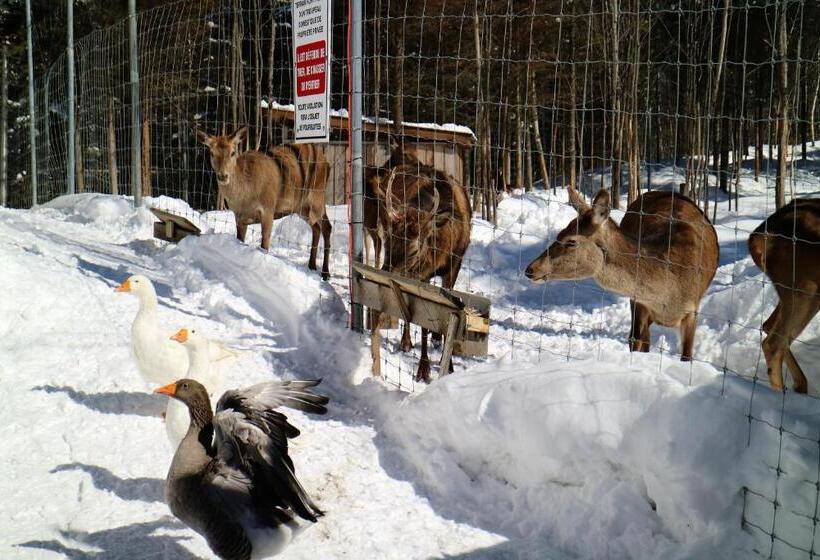 فندق Hebergement Cerfstifie Fermette