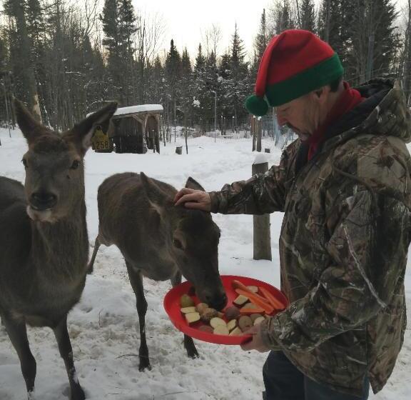 فندق Hebergement Cerfstifie Fermette