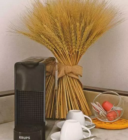 پانسیون 6/4 De Sado